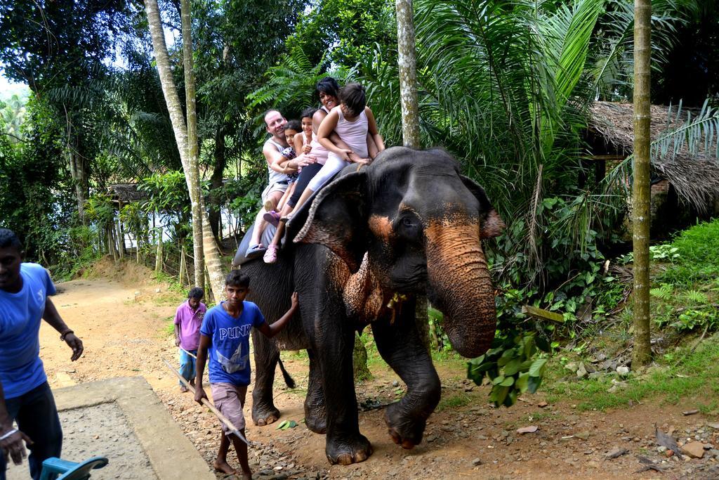 Basilico Homestay Kegalle Exterior foto